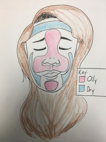 A diagram illustrating the textures of the areas of the face. Different methods of skincare can be applied to each, making the distinction important.